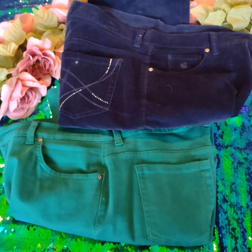 Gloria Vanderbilt pants both size 12
